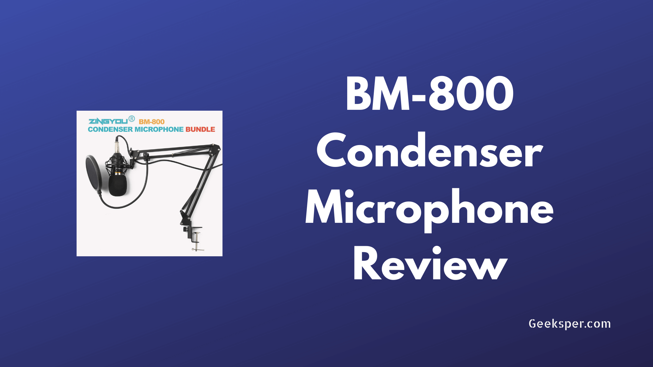BM 800 Microphone Review