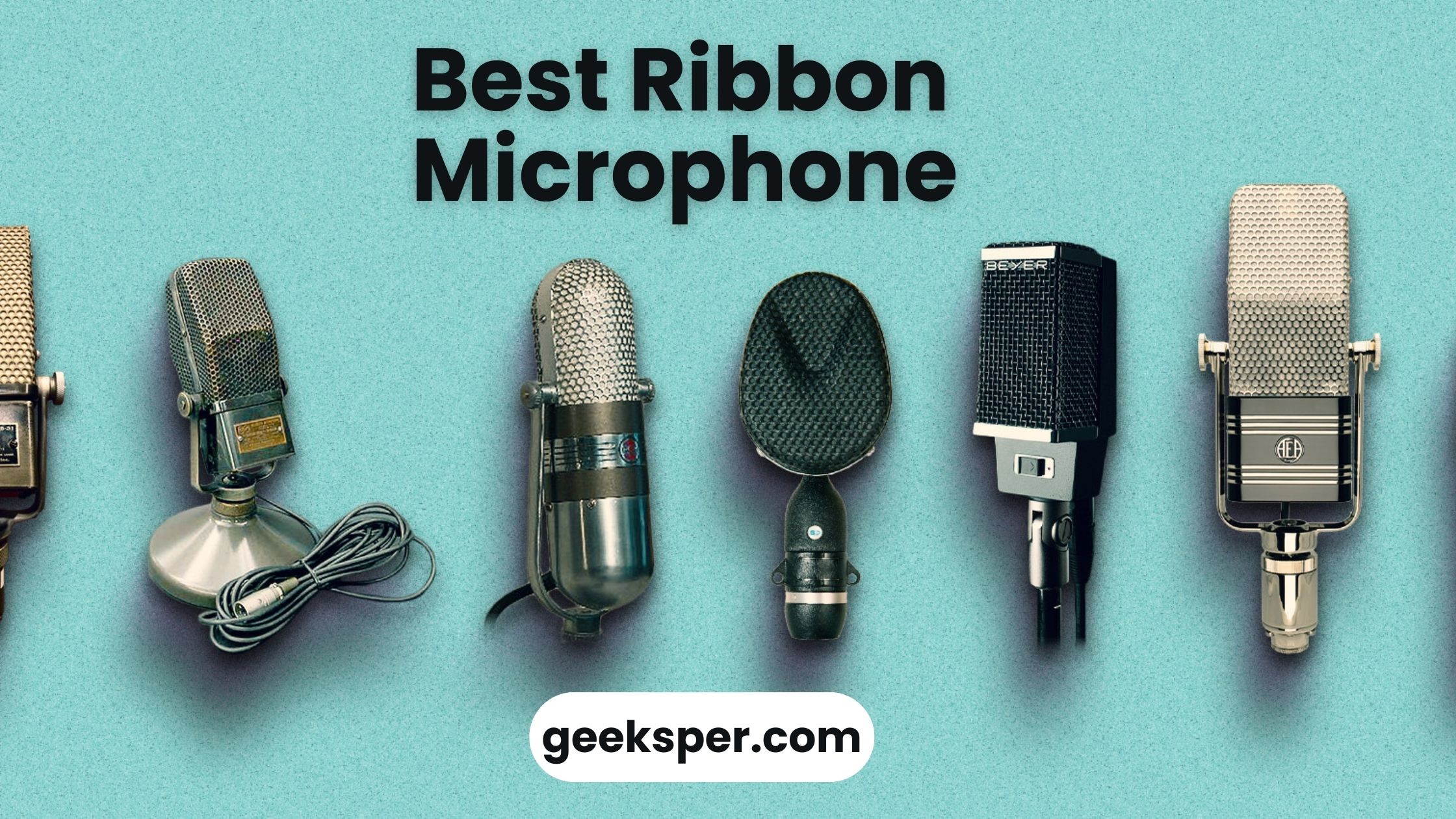 Best Ribbon Microphone