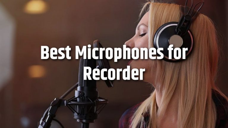 Best Microphones for Recorder