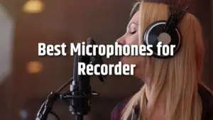Top 5 Best Microphone for Recorder in
