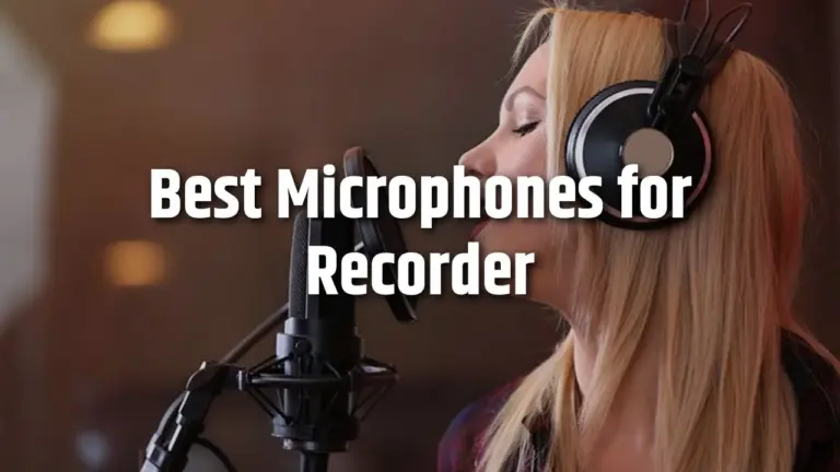 Top 5 Best Microphone for Recorder in