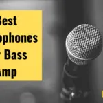 Top 5 Best Microphones for Bass Amp