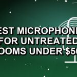 2 Best Microphones for Untreated Rooms Under $500