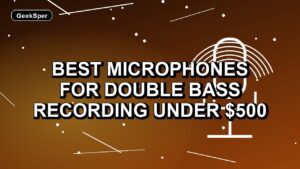 Best Microphones for Double Bass Recording Under $500: One Verified Pick