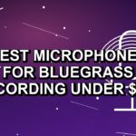 Best Microphones for Bluegrass Recording Under $500: One Verified Pick