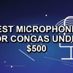 5 Best Microphones for Congas Under $500