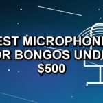 5 Best Microphones for Bongos Under $500
