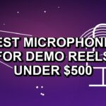 5 Best Microphones for Demo Reels Under $500