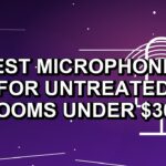 3 Best Microphones for Untreated Rooms Under $300